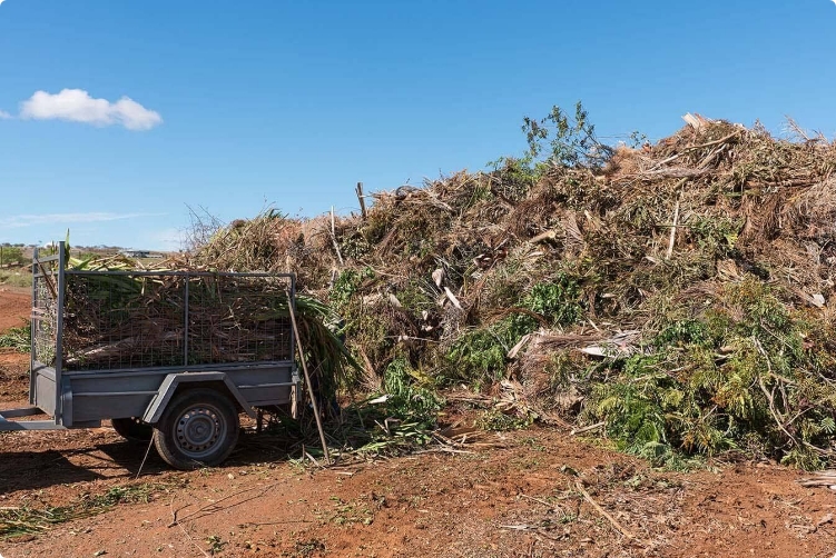 Green Garden Waste Removal Suburban Skips